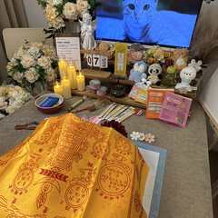 宠物家长客户见证