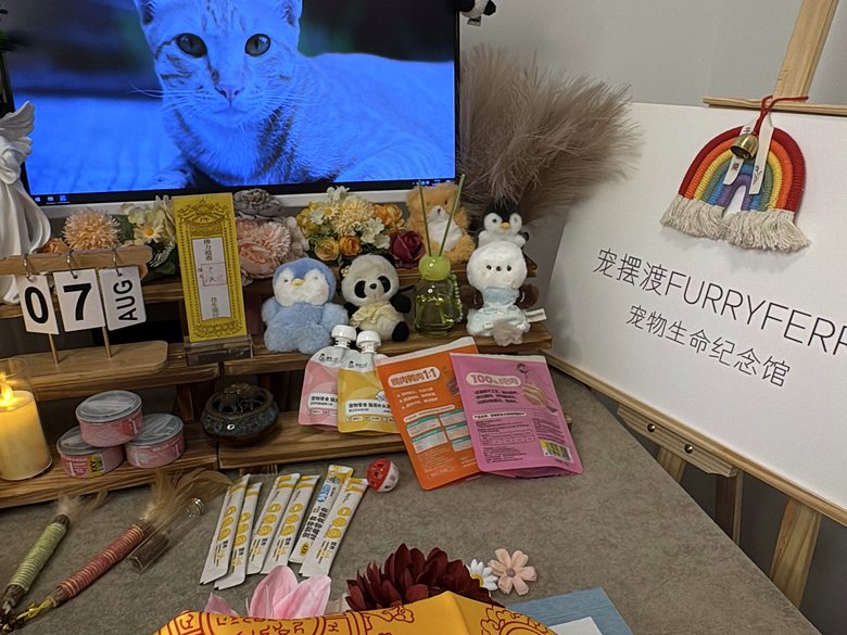 宠物纪念相册与追思布置
