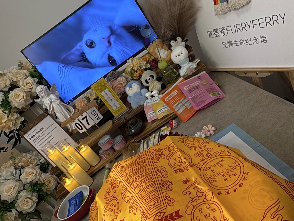 宠物告别仪式现场布置