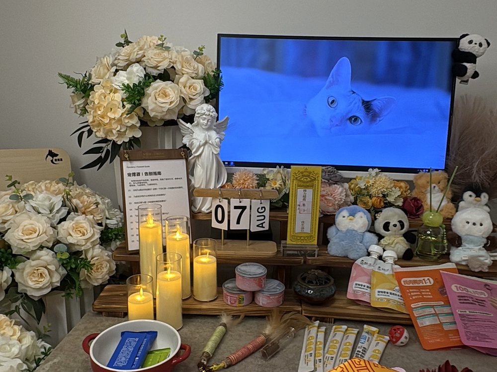 宠物骨灰交付与纪念品